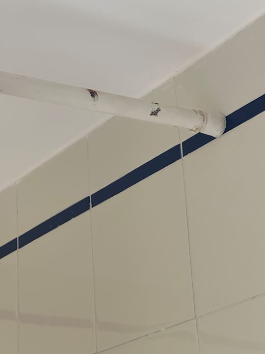 Zimmer Nour Palace Resort & Thalasso