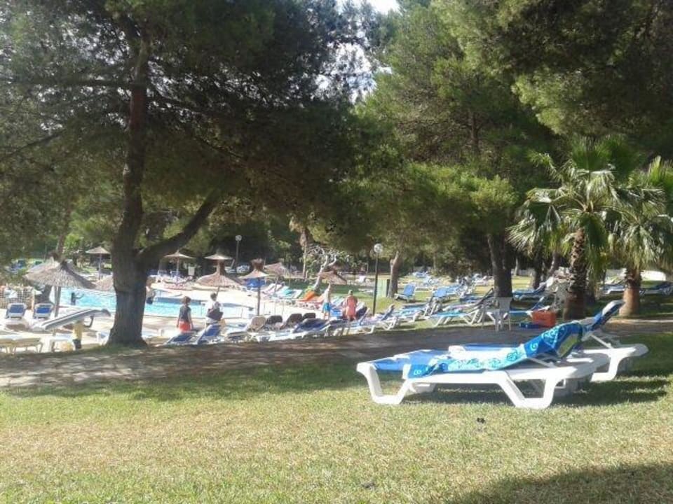 Garten mit Pool Hotel Exagon Park