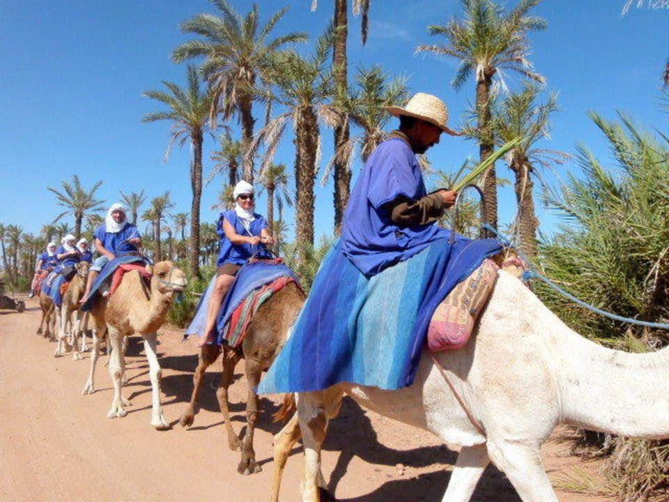 Promenade avec Abdel dans la palmeraie Hotel Kasbah Le Mirage
