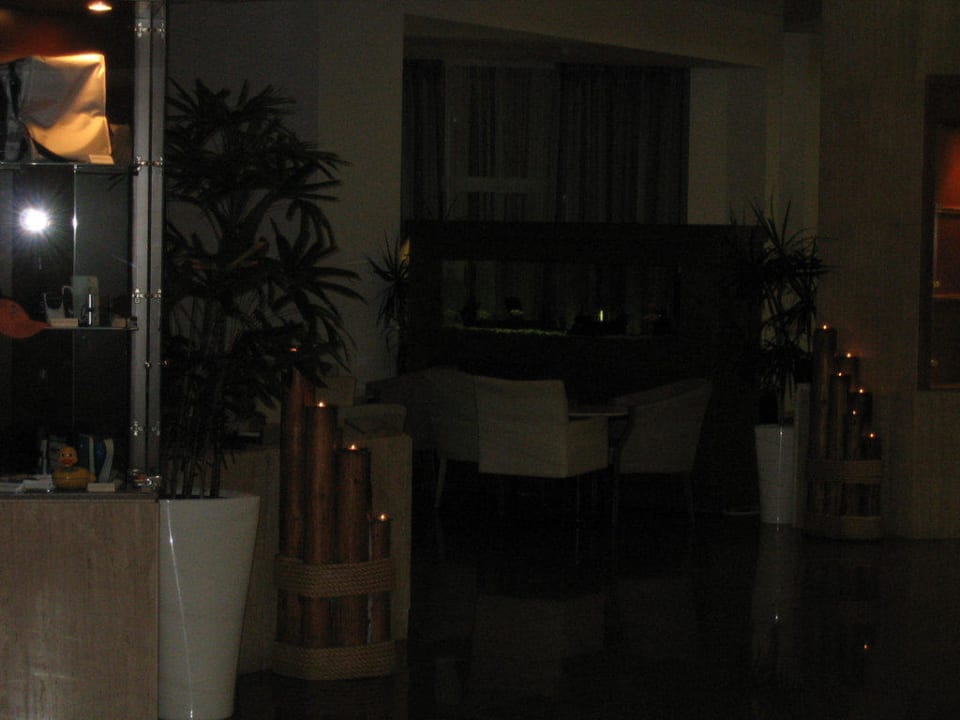 Aquarium in der Eingangshalle Hotel Sunrise Beach