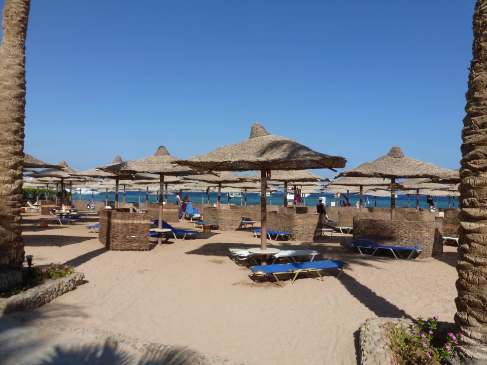 Strand                                             Jaz Makadi Oasis Resort