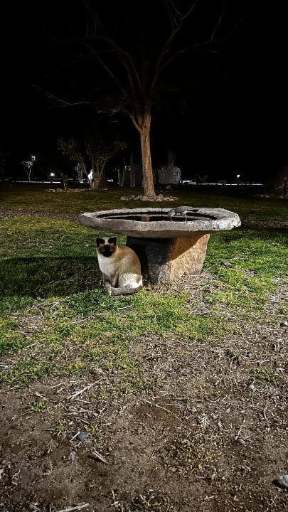 Gartenanlage Little Sossus Lodge