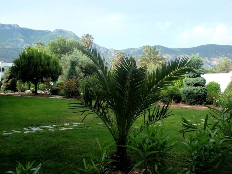 Garden Hotel Kinetta Beach