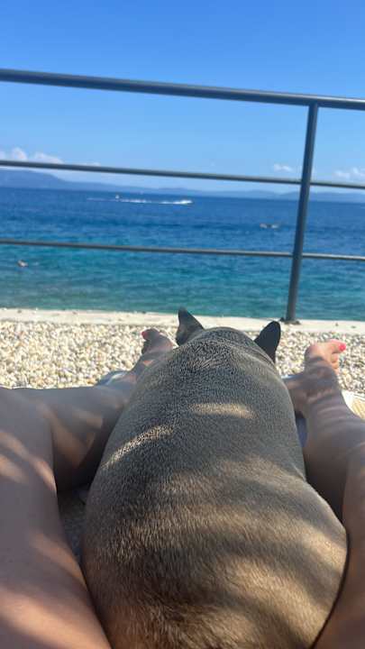 Strand Valamar Bellevue Resort