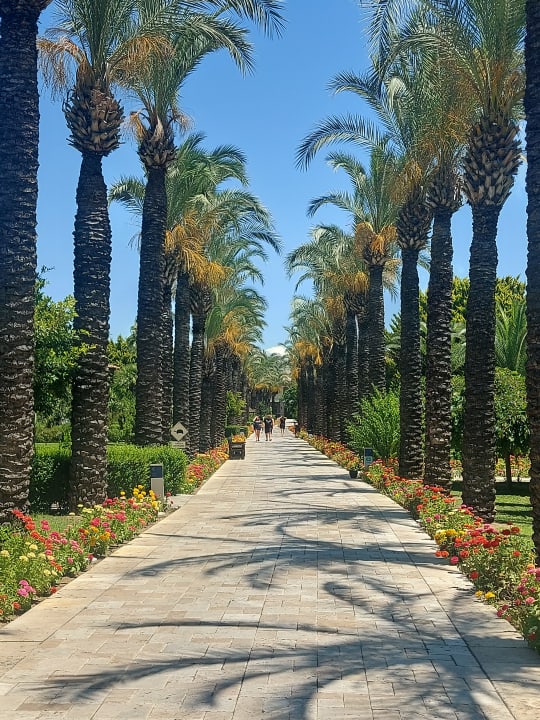 Gartenanlage TUI BLUE Palm Garden