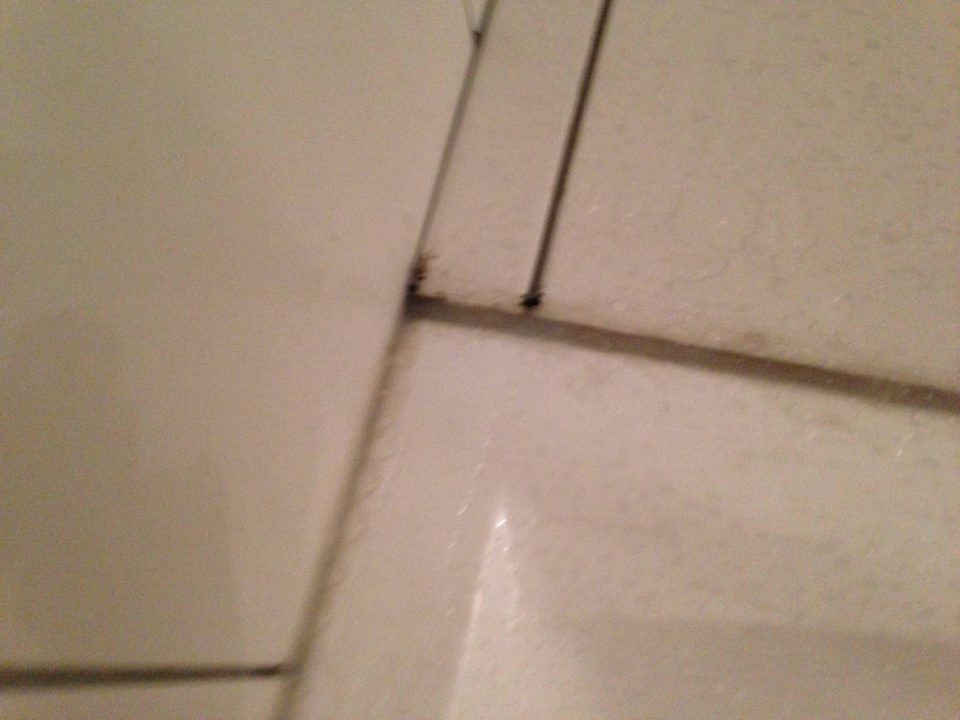 Bad Hotel Grand Halic