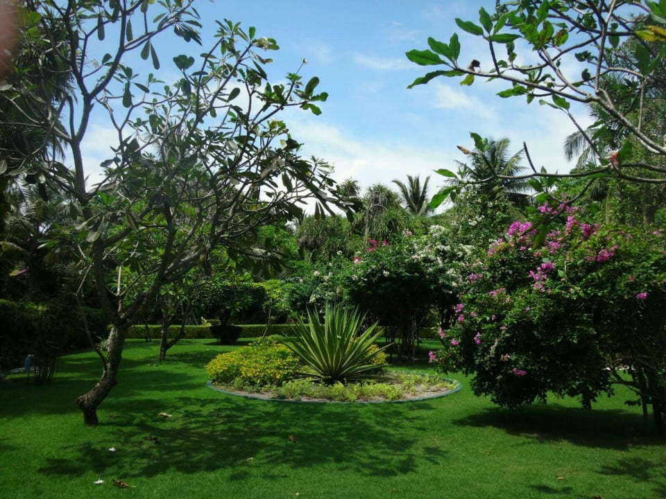 Schöner Garten Adaaran Select Meedhupparu Island Resort - Premium All Inclusive