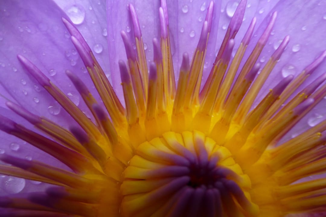 Regen im Paradies Angaga Island Resort