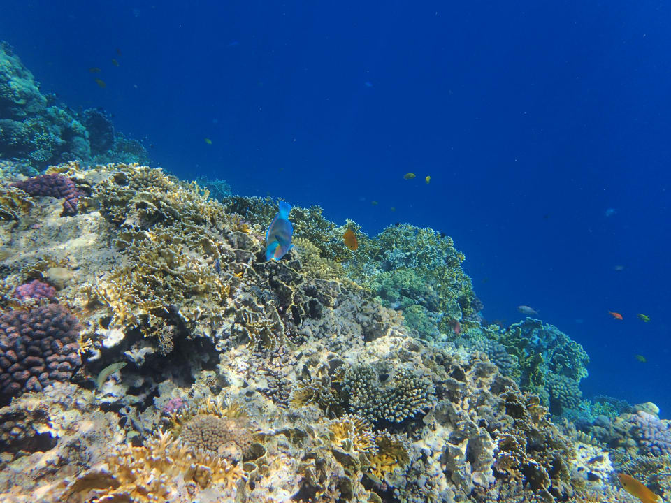 Sport & Freizeit Serenity Alpha Beach