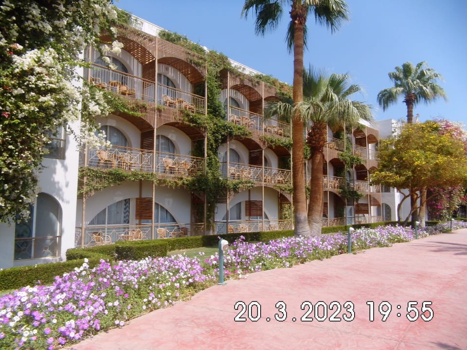 Außenansicht Desert Rose