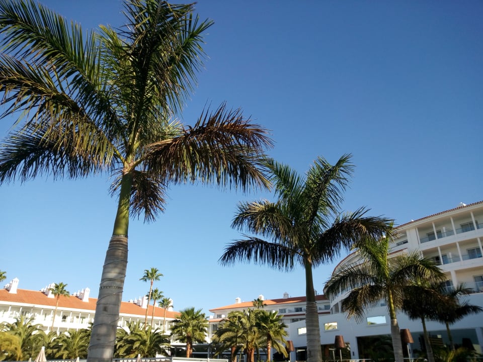 Gartenanlage Hotel Riu Arecas - Adults only