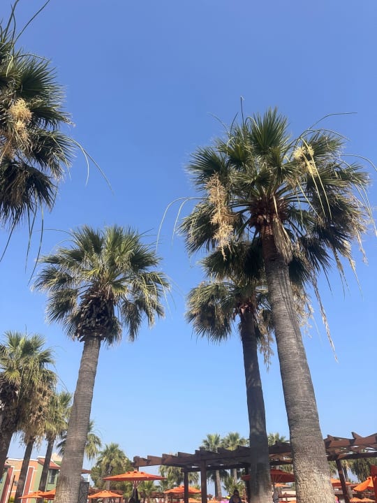 Gartenanlage Megasaray Club Belek