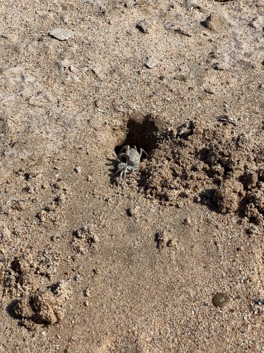 Strand Sentido Caribbean World Soma Bay