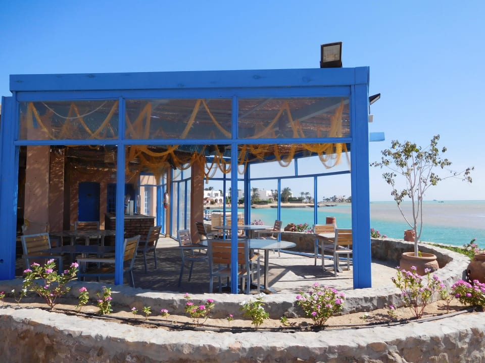 Morgansbar Club Paradisio El Gouna, Red Sea