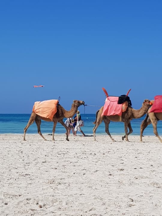 Strand Calimera Yati Beach