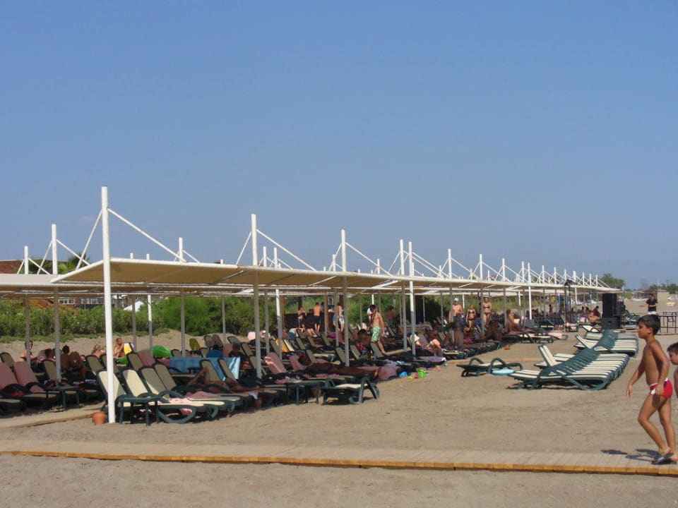 Liegenbereich am Strand Sherwood Dreams Resort