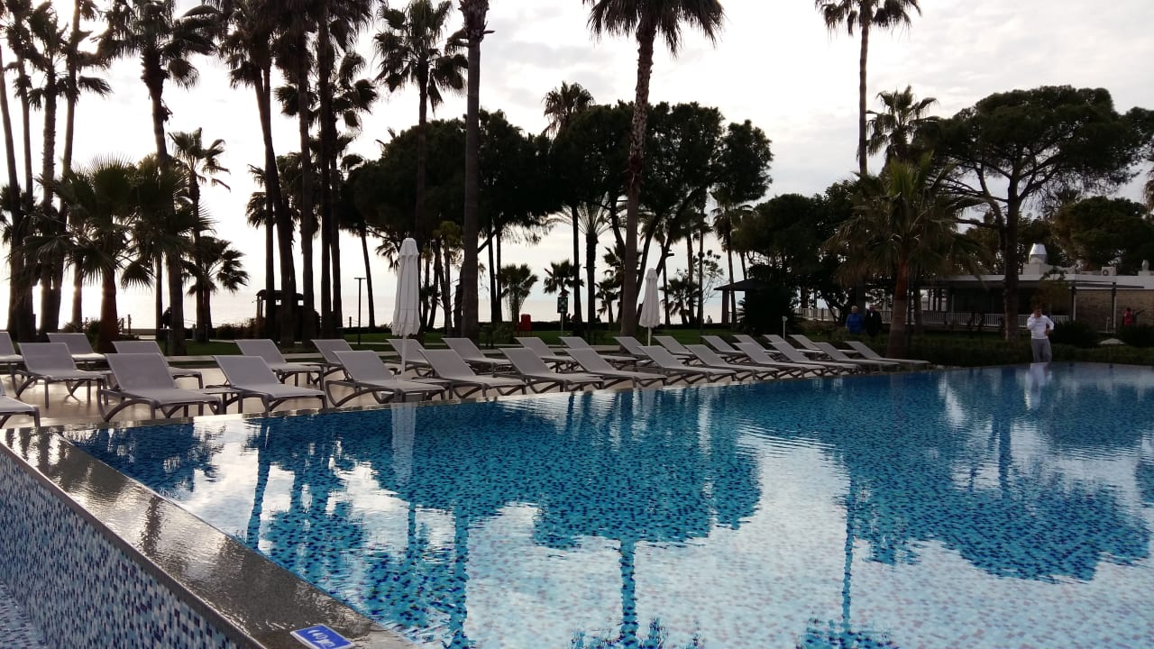 Pool Acanthus Cennet Barut Collection