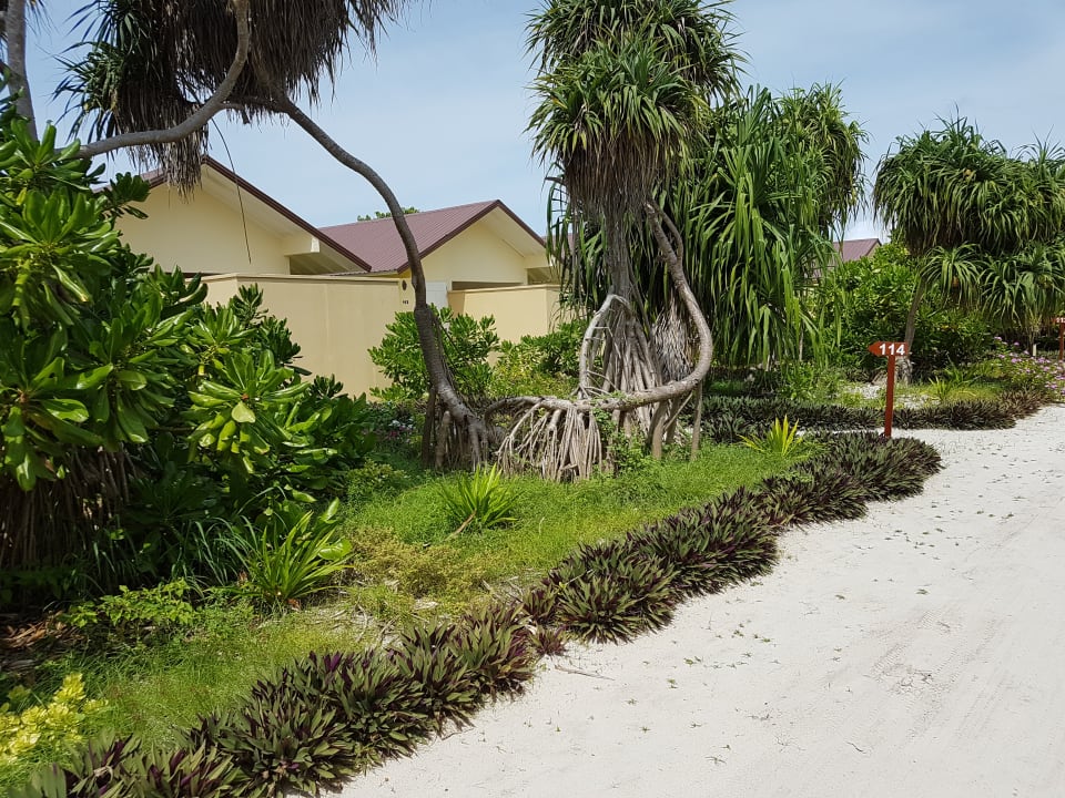 Gartenanlage Hondaafushi Island Resort