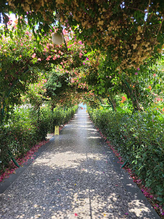 Außenansicht Rubi Platinum Sign