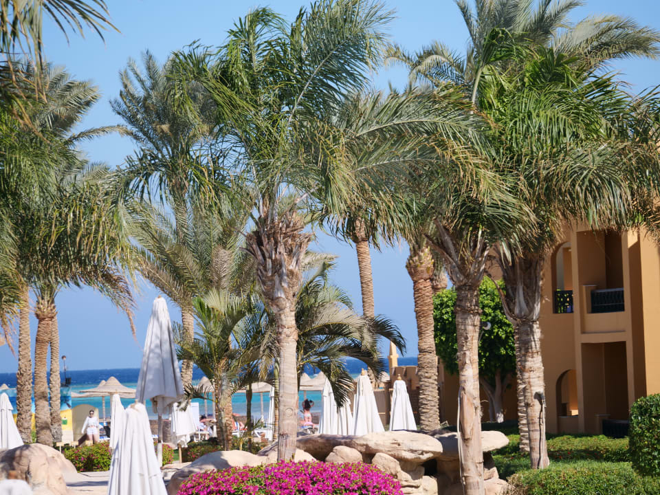 Gartenanlage Stella Beach Resort & Spa Makadi Bay