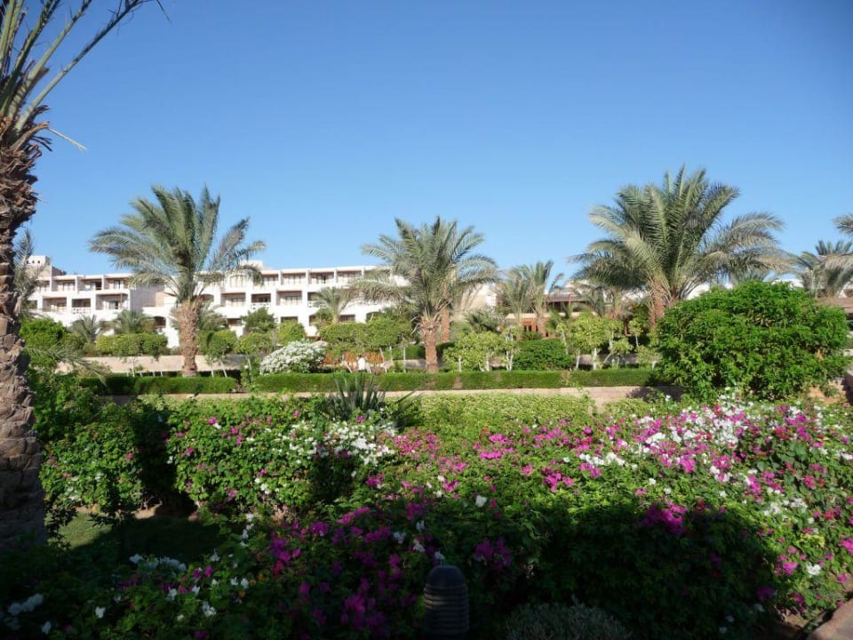 Garten Fort Arabesque Resort, Spa & Villas