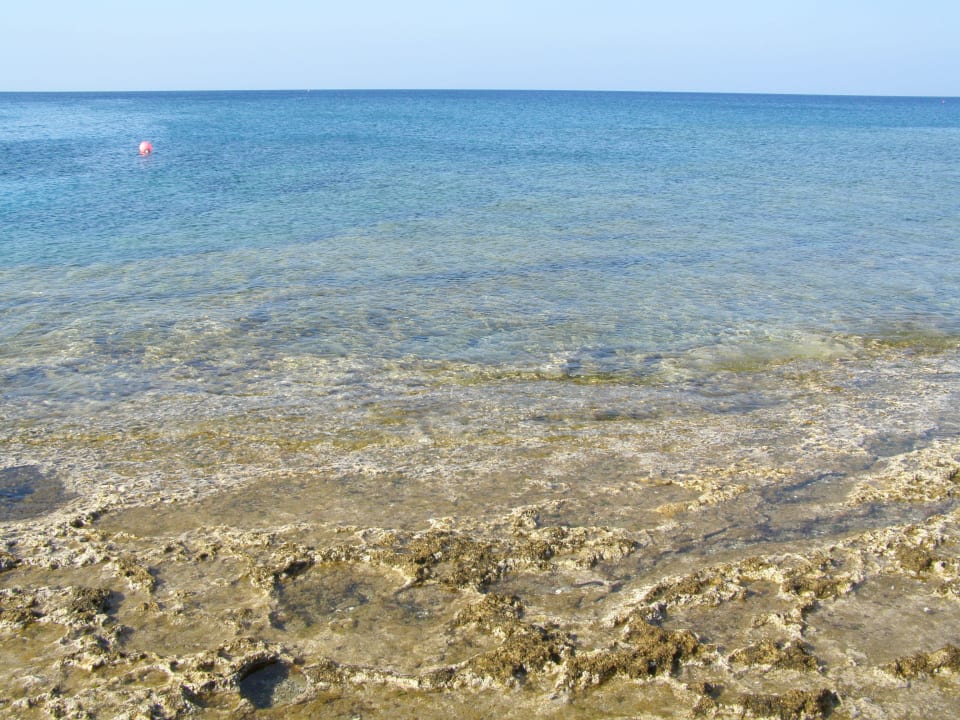 Čisté moříčko Crystal Springs Beach Hotel