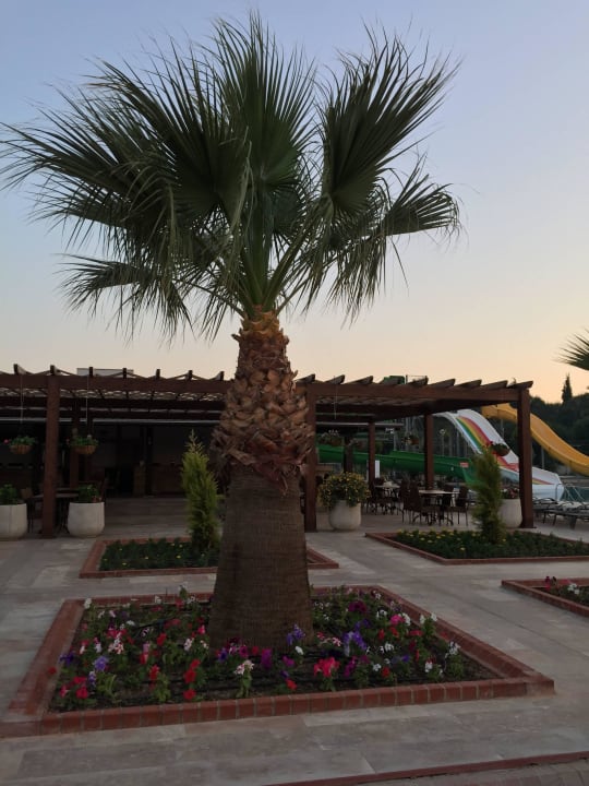 Snackbar Venosa Beach Resort & Spa