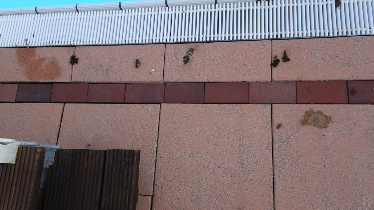 Sonstiges Best Western Premier Castanea Resort Hotel