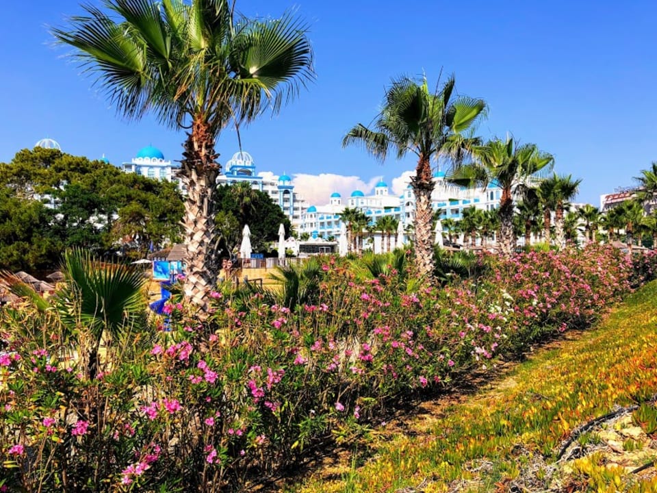 Ausblick Kolibri Resort Hotel