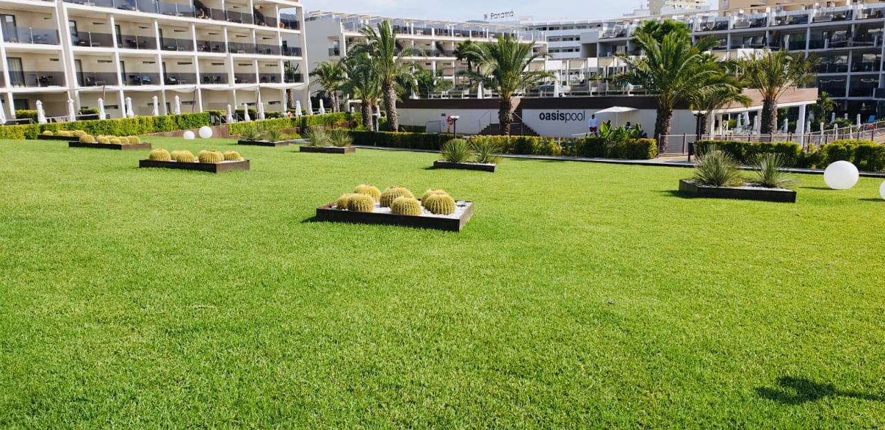 Gartenanlage Zafiro Palace Palmanova