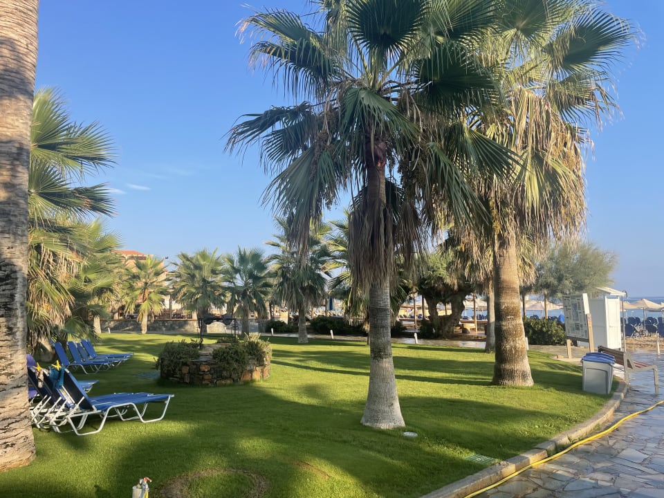 Gartenanlage Calimera Sirens Beach