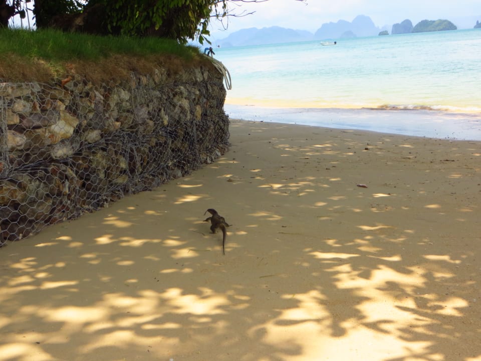 Strand Hotel Koyao Island Resort