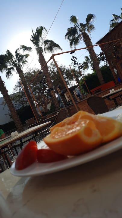 Gastro The Grand Hotel Hurghada