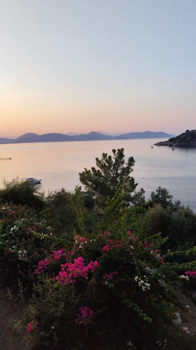 Außenansicht TUI BLUE Seno - Adults Only