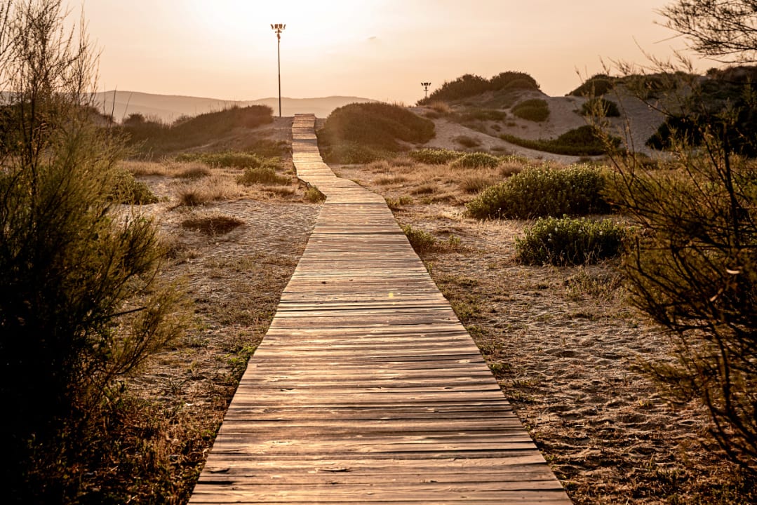 Strand Cook's Club Sunny Beach