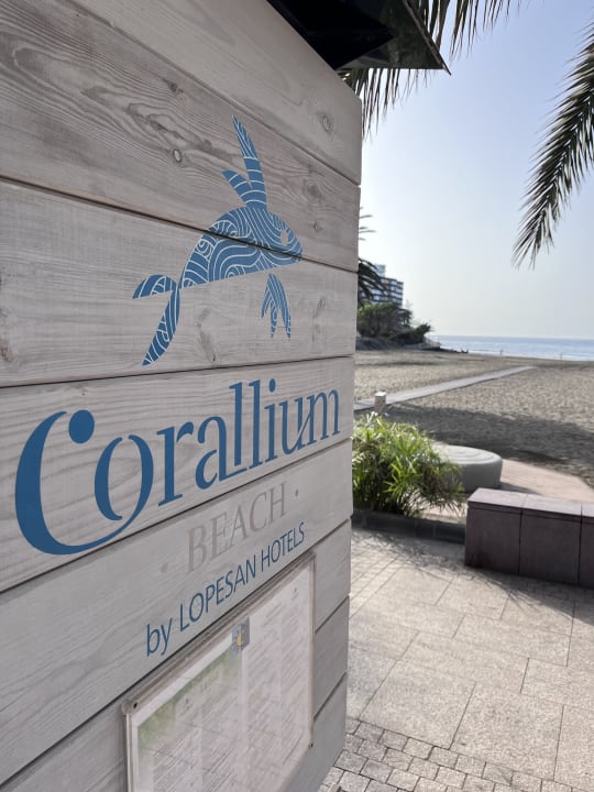 Strand Corallium Beach by Lopesan Hotels - Adults only