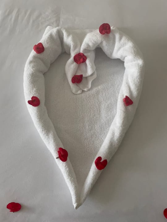 Zimmer Gravity Hotel & Aquapark Sahl Hasheesh