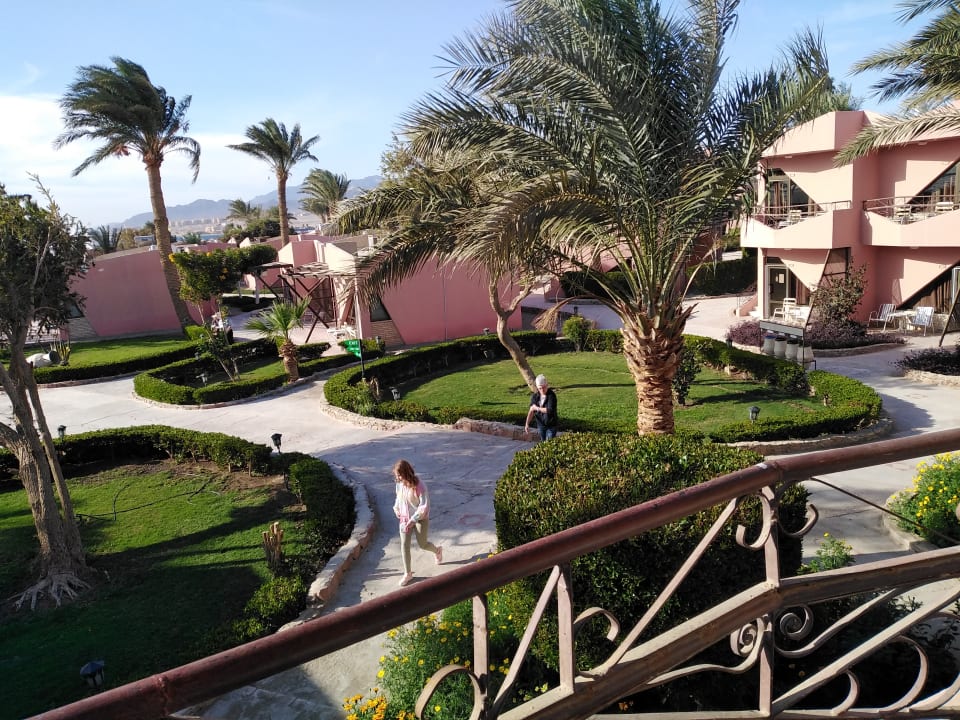 Gartenanlage Eagles Paradise Abu Soma