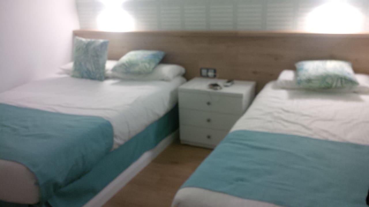 Zimmer Canary Garden Club