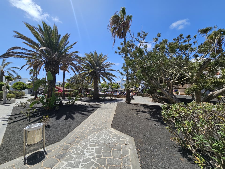 Außenansicht allsun App.-Hotel Albatros