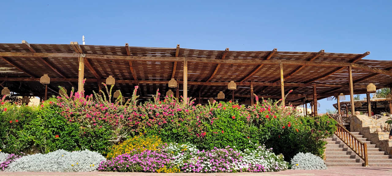 Gastro Wadi Lahmy Azur Resort