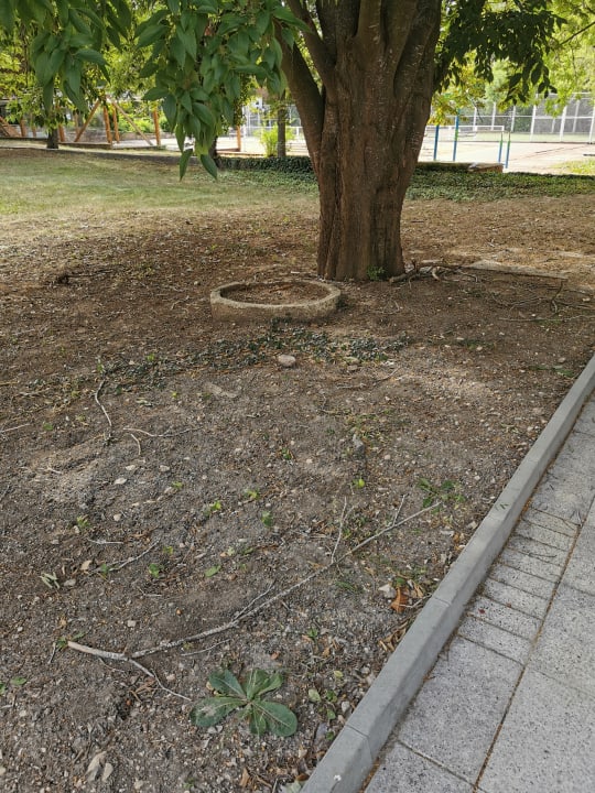 Gartenanlage Ralitsa Aqua Club