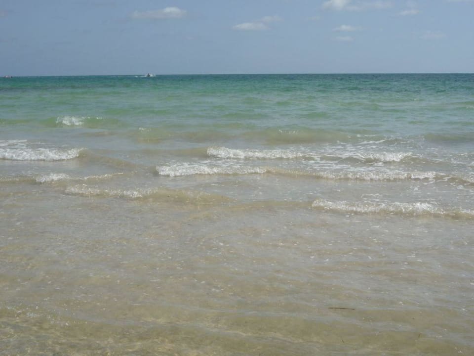 Sauberes, ruhiges Meer Hotel Eden Star