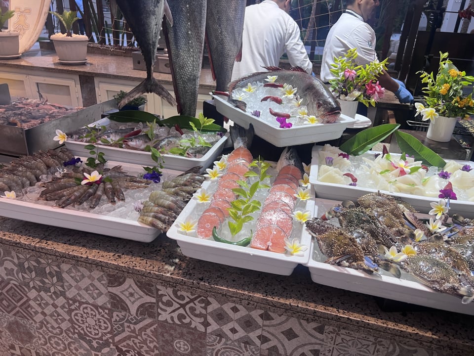 Gastro JAZ Elite Casa del Mar Beach