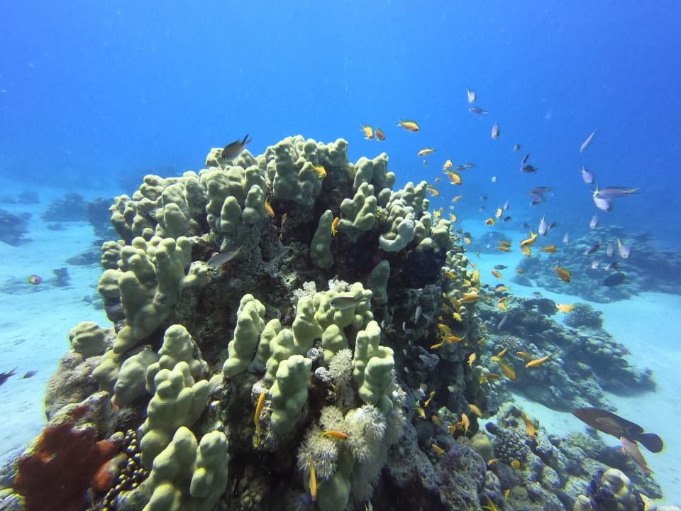 Sport & Freizeit Grand Waterworld Makadi