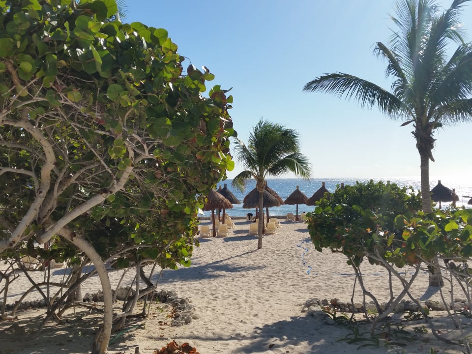 Gartenanlage Bahia Principe Luxury Akumal