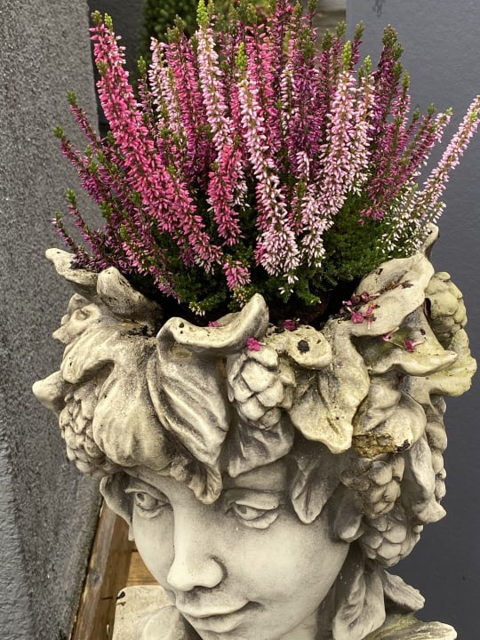 Gartenanlage Spirit & SPA Hotel Birkenhof am Elfenhain