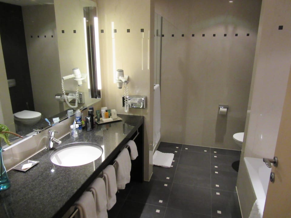 Badezimmer Hilton Vienna Park