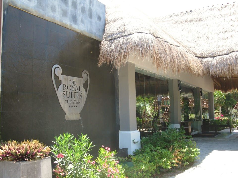 Eingang und Wasserfall TRS Yucatan Hotel - Adults only