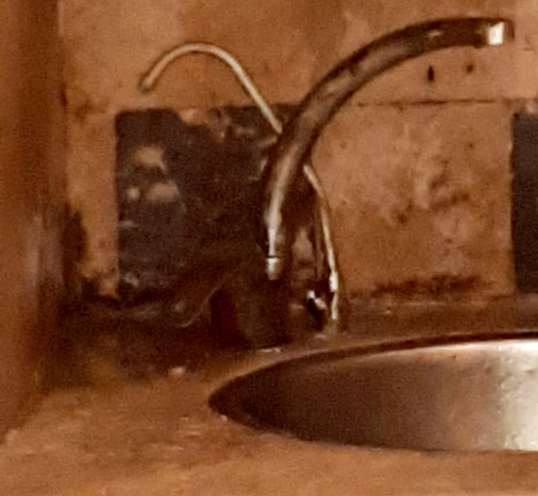 Gastro Makadi Spa - Adults only